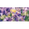 Crocus Панно P4D286 80х40 (из 4 плиток)