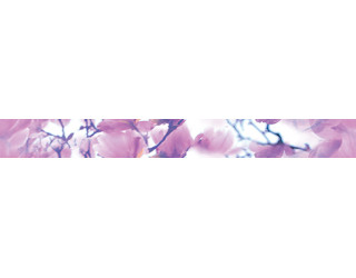 Magnolia Бордюр B400D297 40х4,5