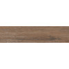 Essenze brown Керамогранит 01 15х60