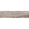 BG 03 15x60 неполир