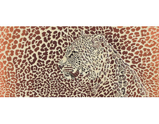 Gerbera Safari Декор многоцветный (GB2G111) 20x44
