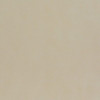 Керамогранит Allegro beige бежевый PG 01