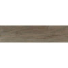 Керамогранит Bianchi  brown коричневый PG 01 12.5х50