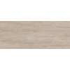 Акация Керамогранит беж SG412820N 20,1х50,2 (Орел)
