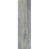 DREAM WOOD DW 05  14,6х60  серый  Непол. 38722