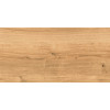 Глаз. керамогранит WS4O112 Woodhouse коричневый рельеф 29,7x59,8